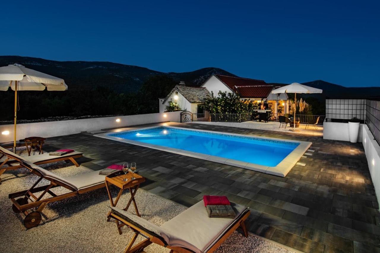 House Camellia With Fenced Pool And Playground Villa Blizna Donja Exterior photo